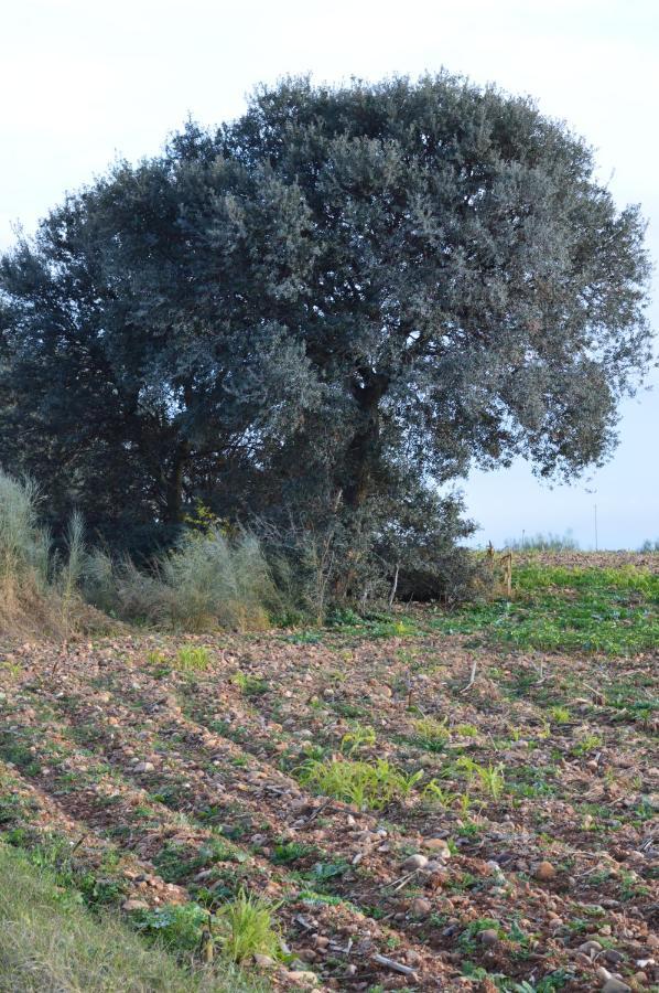 Posada La Reja Malpica de Tajo Luaran gambar